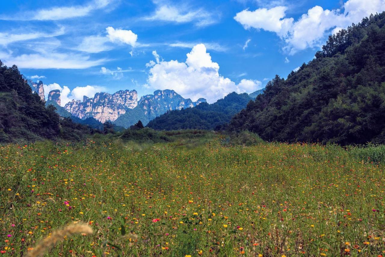 Whispering Mountains Boutique Hotel Чжанцзяцзе Екстер'єр фото