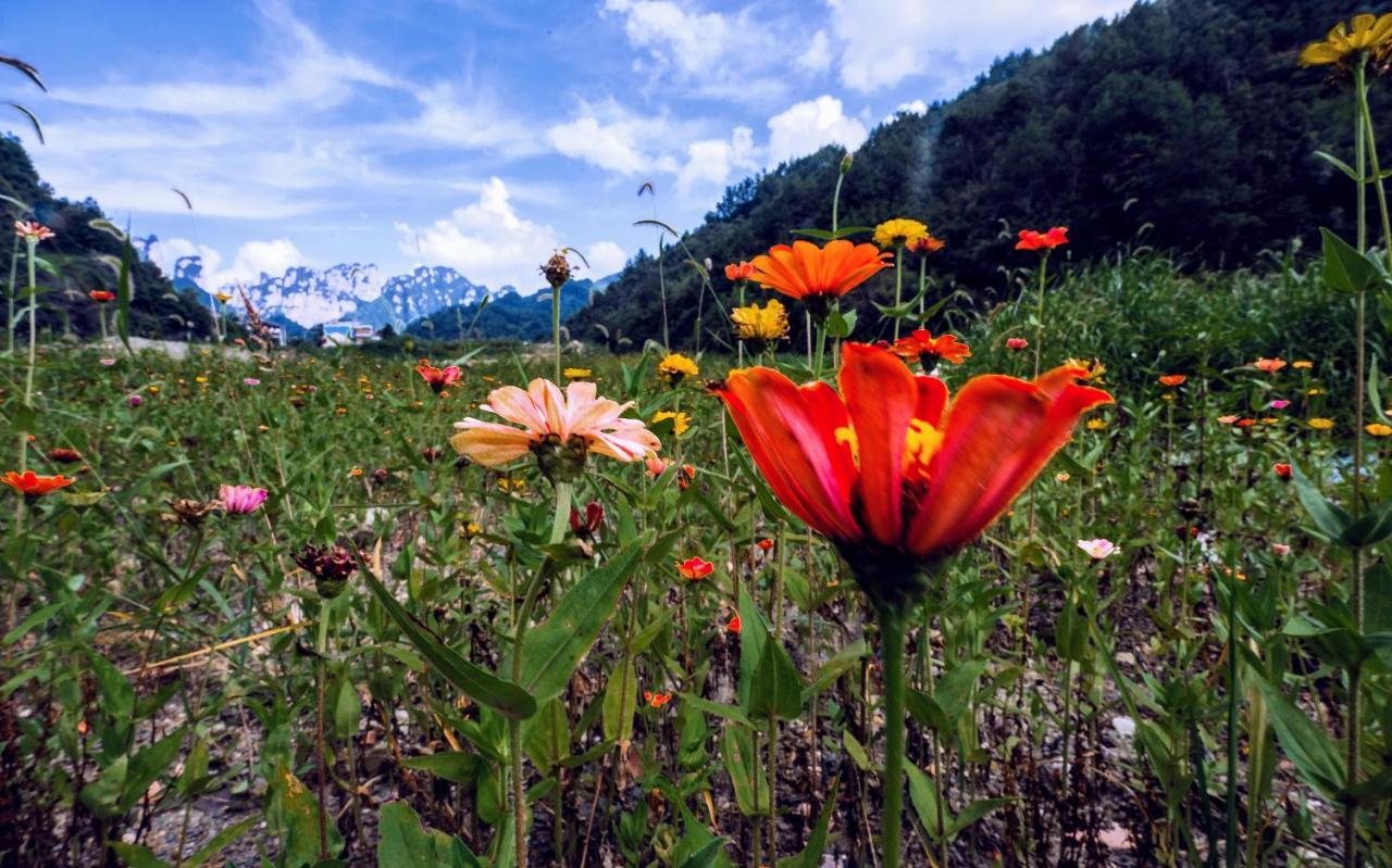 Whispering Mountains Boutique Hotel Чжанцзяцзе Екстер'єр фото