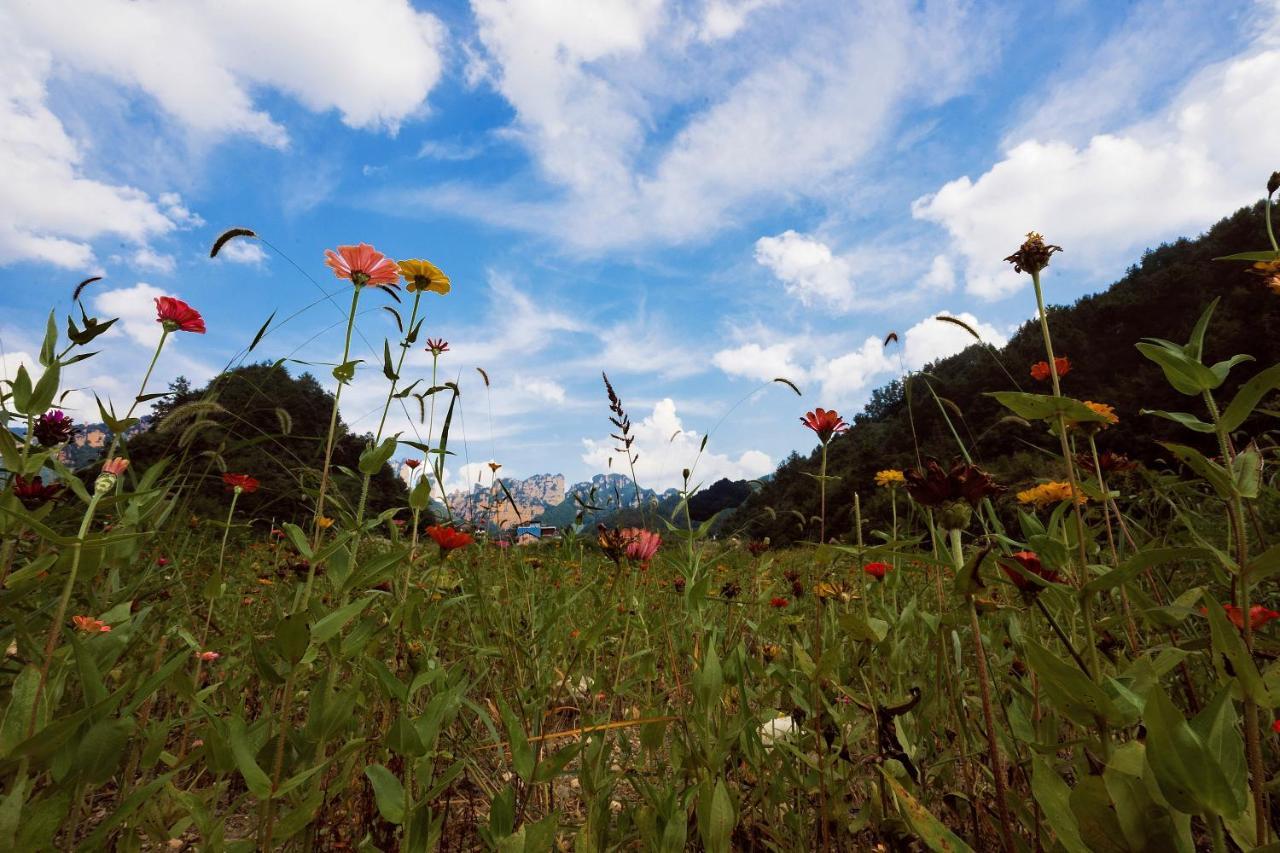 Whispering Mountains Boutique Hotel Чжанцзяцзе Екстер'єр фото